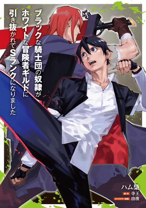 ブラックな騎士団の奴隷がホワイトな冒険者ギルドに引き抜かれてSランクになりました