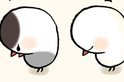 ブンチョぶんちょ！