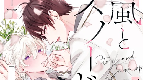 嵐とスノードロップ
