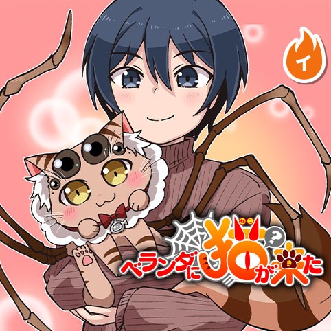 ベランダに猫（？）が来た