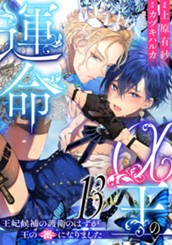 α王の運命～王妃候補の護衛のはずが王の番になりました～ 13 のサムネイル