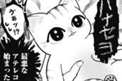 27：こねこのきもち のサムネイル