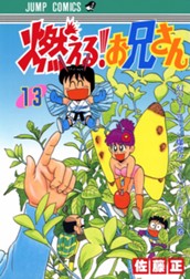 燃える！お兄さん 13 のサムネイル
