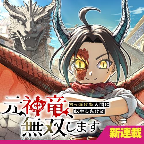 元神竜、ちっぽけな人間に転生したけど無双します
