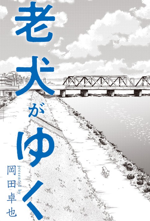 老犬がゆく