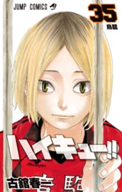 ハイキュー!! カラー版 35 のサムネイル