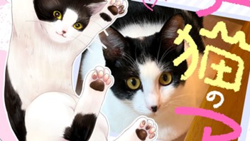かわいい子猫のアイランド　～漫画家が保護猫を引き取った話～