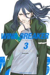 ＷＩＮＤ　ＢＲＥＡＫＥＲ（３） のサムネイル