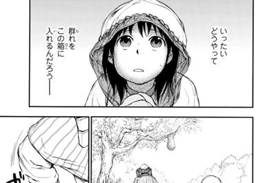 獣の奏者