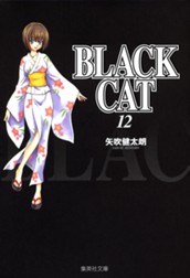 BLACK CAT 12 のサムネイル