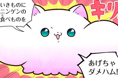 学習マンガ・理科　ウサウサ！