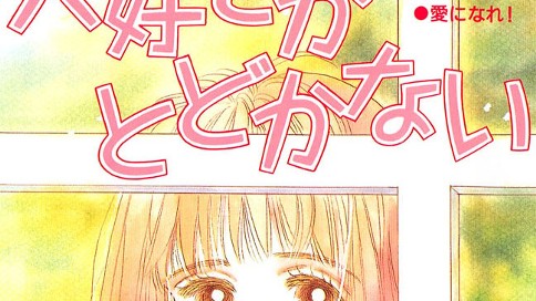 大好きがとどかない