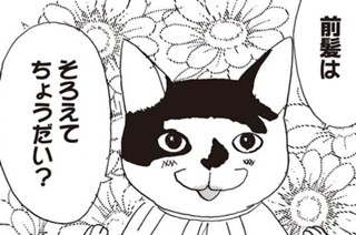 第1話 そろえてちょうだい ぷらす いくえみ綾 Feel Web マンガの数だけ愛がある
