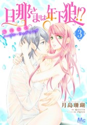 旦那さまは年下狼!? 恥じらいノーブル・ウェディング 3 のサムネイル