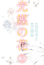 光媒の花 3 のサムネイル