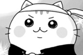 49話 おじねこＶＳ．野良猫！？ のサムネイル
