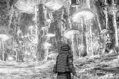 第77話　脅威③ のサムネイル