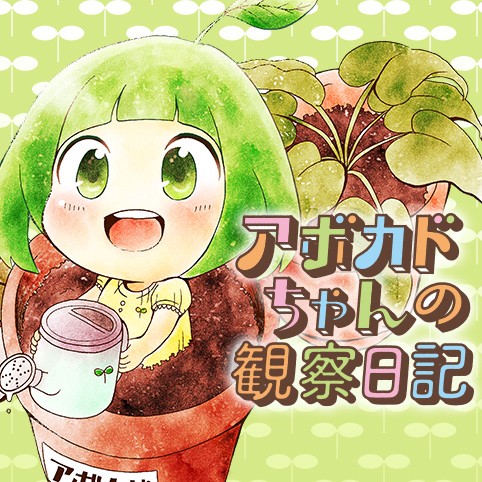 アボカドちゃんの観察日記