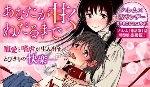 あなたが甘くねだるまで