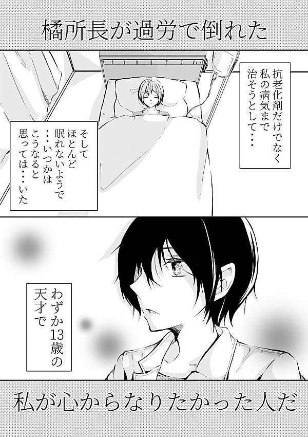 ときめき夢シリーズ お花屋さんになろう！