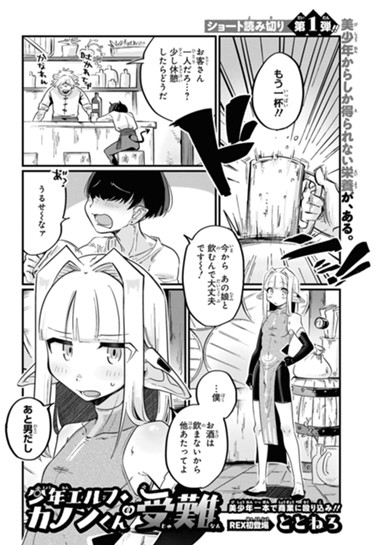 少年エルフ・カノンくんの受難