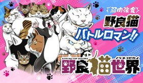 野良猫世界