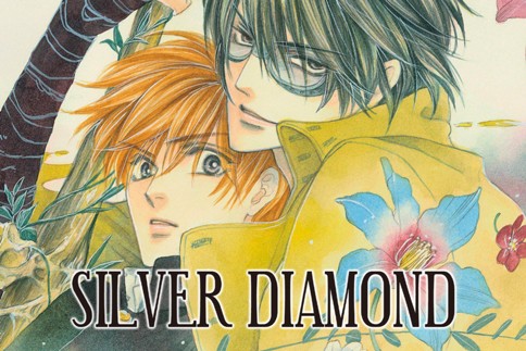 SILVER DIAMOND