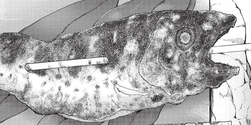 カワセミさんの釣りごはん