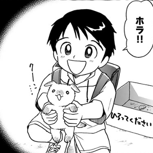 夏の魔術