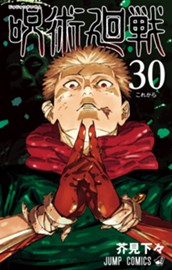 呪術廻戦 30 のサムネイル