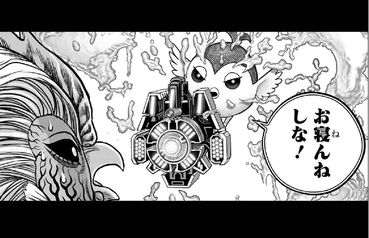 ニワトリ・ファイター