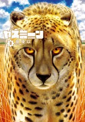 ヤスミーン 3 のサムネイル