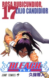 BLEACH モノクロ版 17 のサムネイル