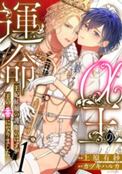 α王の運命～王妃候補の護衛のはずが王の番になりました～ 1 のサムネイル