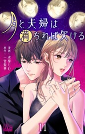 月と夫婦は満ちれば欠ける 11 のサムネイル