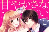甘やかさないで副社長　～ダンナ様はＳＳＲ～　分冊版（１） のサムネイル