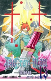 D.Gray-man 13 のサムネイル