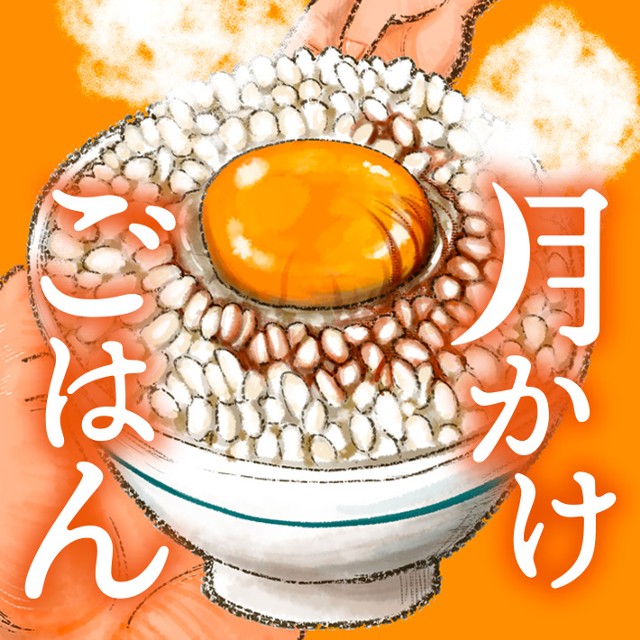 月かけごはん