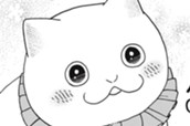 第５４話　プロの猫 のサムネイル