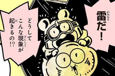 ポコタの豆ちしき