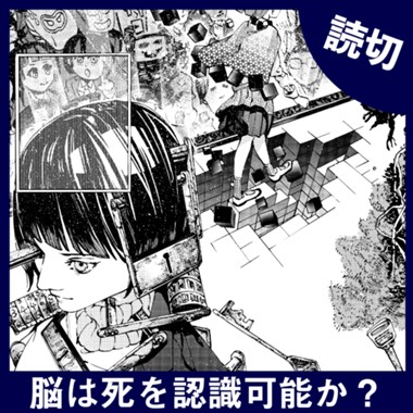 脳は死を認識可能か？