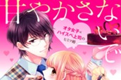 甘やかさないで副社長　～ダンナ様はＳＳＲ～　分冊版（３） のサムネイル
