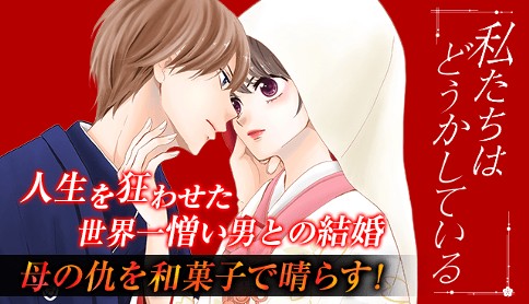 私たちはどうかしている