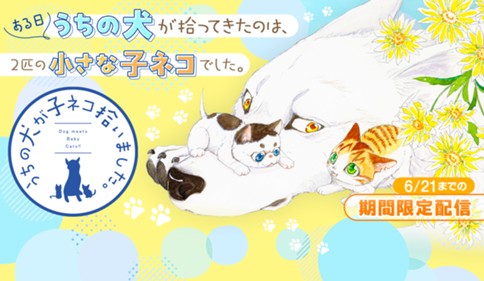 うちの犬が子ネコ拾いました。