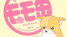 モモ缶