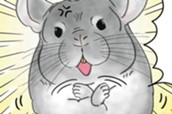 第２１話　チンチラちゃんの主張 のサムネイル