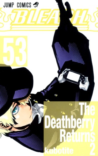 BLEACH モノクロ版 49 - 久保帯人 | 少年ジャンプ＋