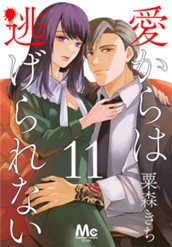 愛からは逃げられない 11 のサムネイル