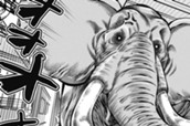 第8話 蠱惑のエレファント① のサムネイル