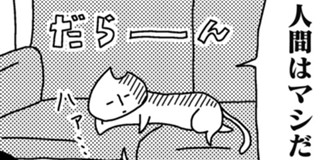 2954回 猫田びより 久楽 少年ジャンプ